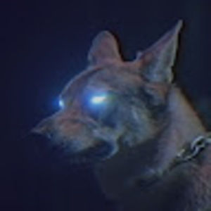 Meet your Posher, Valeria